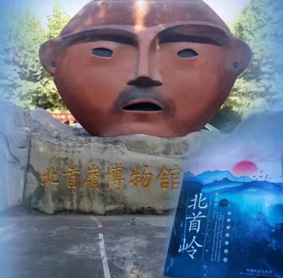 北首岭小说